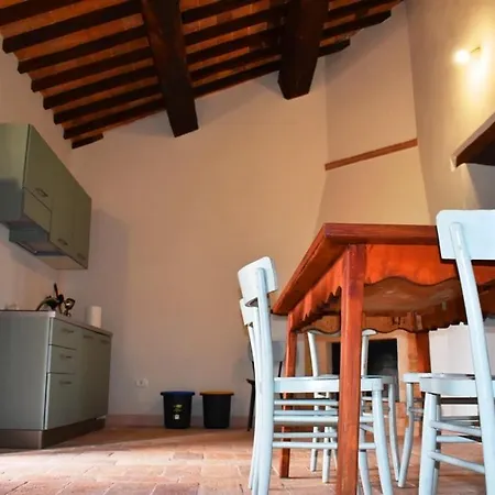 Il Loppo, Your In The Woods *