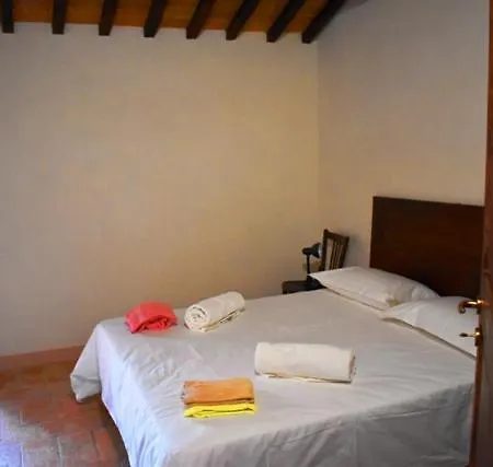 Il Loppo, Your In The Woods