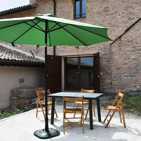 Il Loppo, Your In The Woods Spello