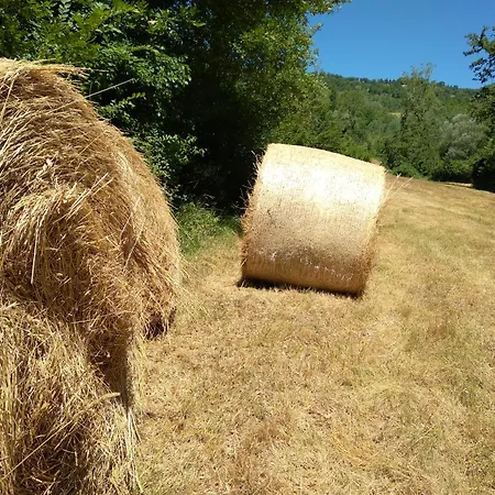 Apartmán Il Loppo, Your In The Woods Spello