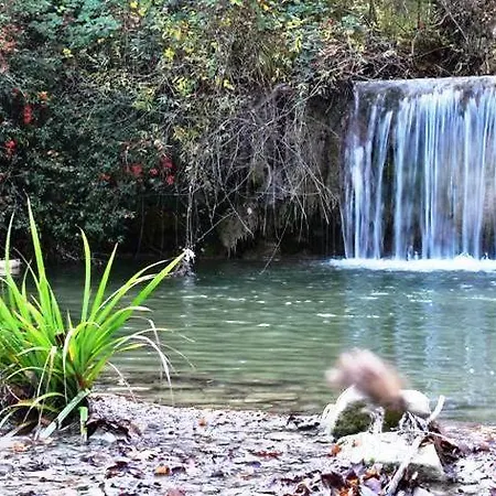 Il Loppo, Your In The Woods Appartamento Spello