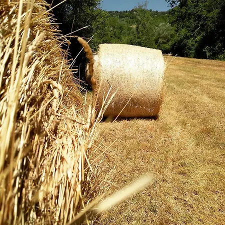 Apartmán Il Loppo, Your In The Woods