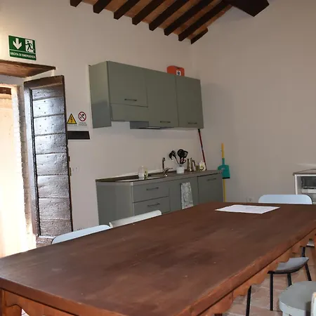 Il Loppo, Your In The Woods