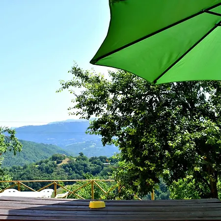 Il Loppo, Your In The Woods Spello