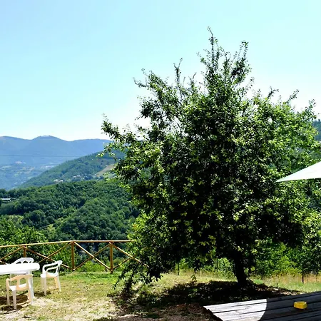 Il Loppo, Your In The Woods