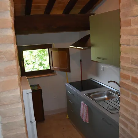 Il Loppo, Your In The Woods *