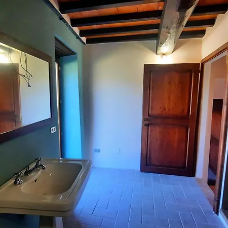 Il Loppo, Your In The Woods