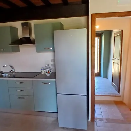 Il Loppo, Your In The Woods Spello