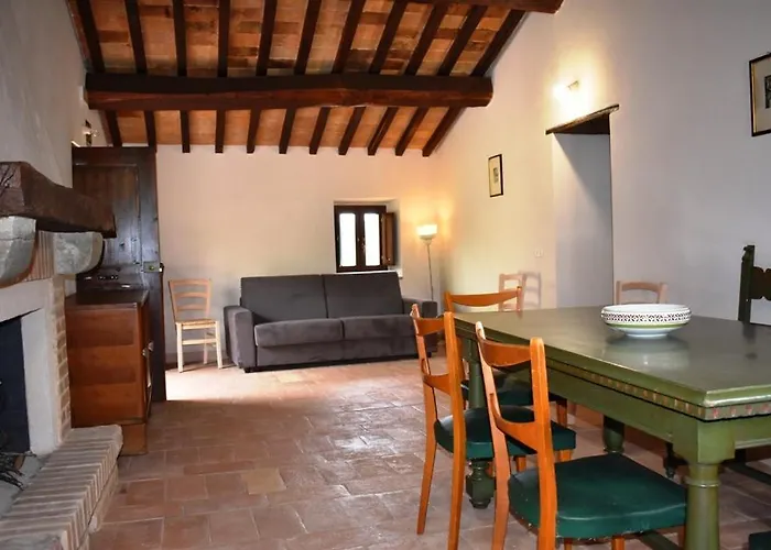 Il Loppo, Your In The Woods