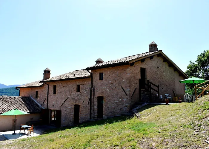 Il Loppo, Your In The Woods Spello